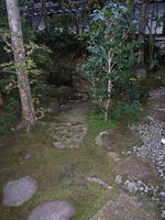 R0012210.jpg