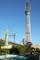 DSCF6329.jpg