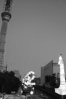 DSCF6350.jpg
