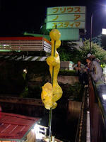 DSCF6398.jpg
