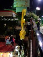 DSCF6399.jpg