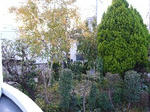 363db066.jpg