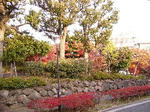 c2971f81.jpg