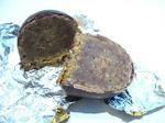 869bcf7e.jpg