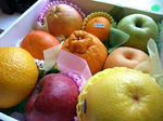 DSCF0385.JPG