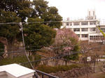 P1140129.JPG