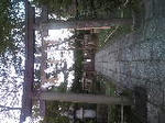 0910112.jpg