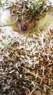 20110103-2.jpg