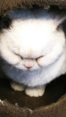20110103-3.jpg