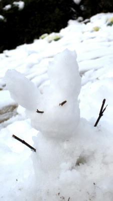 20110103-4.jpg