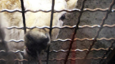 20110103-5.jpg