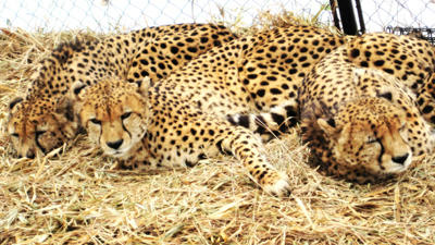 20110103-6.jpg