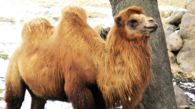20110103-7.jpg