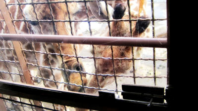 20110103-8.jpg