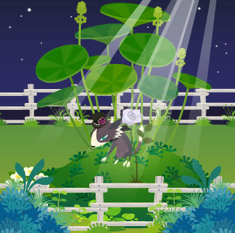 sugara-room.jpg