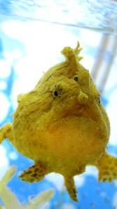 matuko.jpg