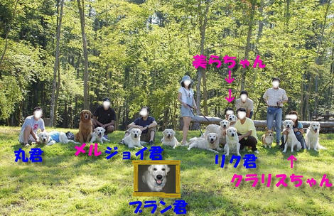 013981cc.jpeg