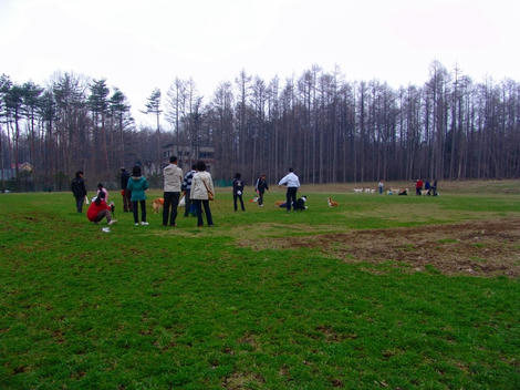 DSC02907.jpg