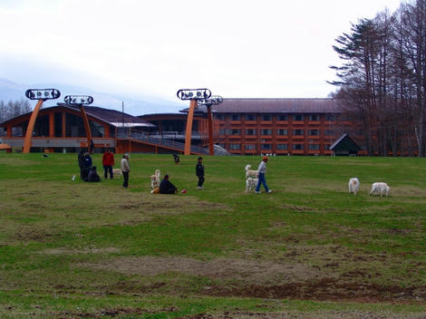 DSC02903.jpg