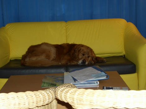 CIMG0031.jpg