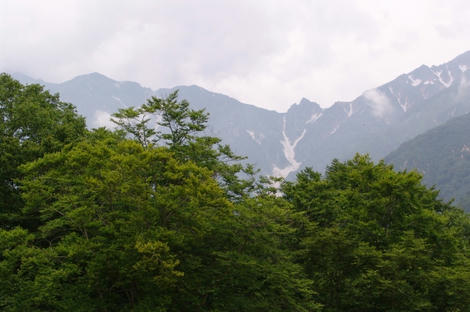 DSC03411.jpg