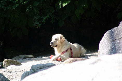 DSC03255.jpg
