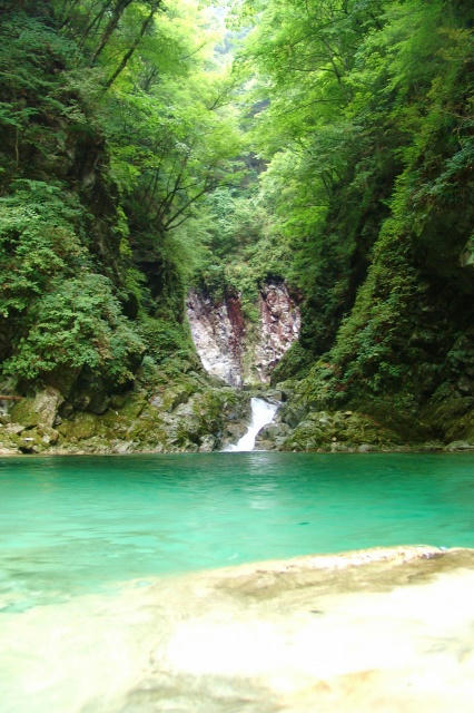 DSC03900.jpg