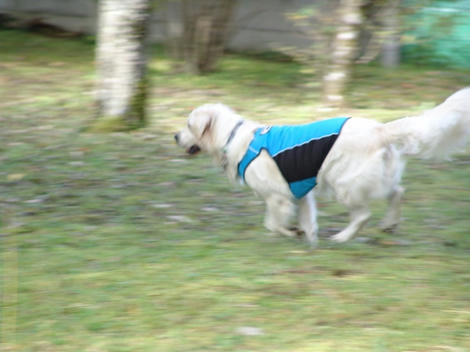 DSC04100.jpg