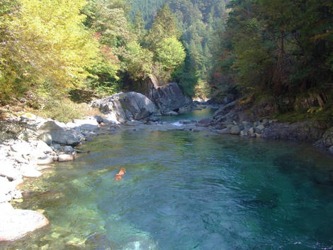 DSC04265.jpg