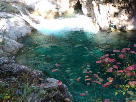 DSC04212.jpg