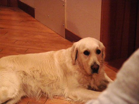 DSC04586.jpg