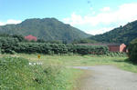 yatumori3.JPG