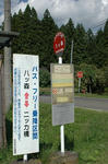 yatumori6.JPG