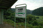 obarino8.JPG