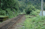 singai16.jpg