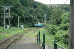singai19.jpg