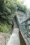 tamoto5.jpg