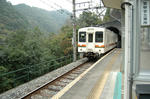 tamoto12.JPG