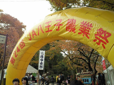 201011131411000.jpg