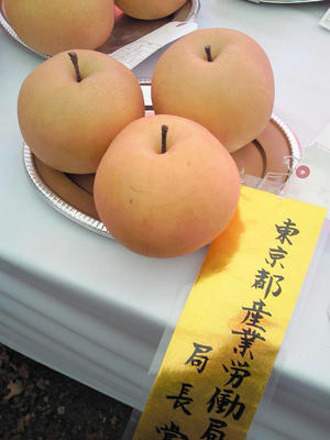 201011131416000.jpg