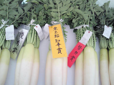 201011131417001.jpg