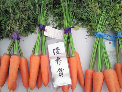 201011131417002.jpg