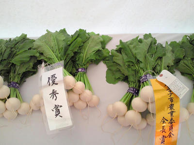 201011131418000.jpg