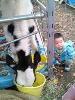 201011131427001.jpg