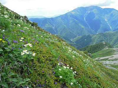 DSCN0230.JPG