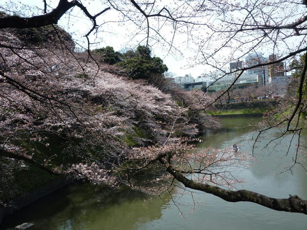 20100327_01.jpg