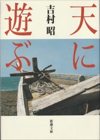 天に遊ぶ