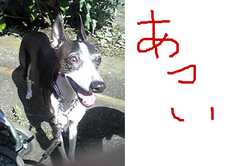 fimg_1214409932.png