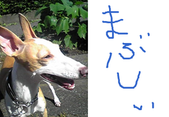 fimg_1214410062.png