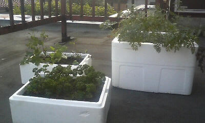 080719-07.JPG